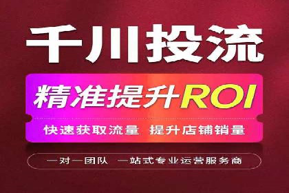 百度SEO推广公司案例分享：行业佼佼者经验